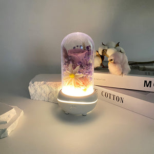 Aroma Lamp Preserved Flower